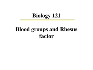 Understanding Blood Groups, Genetics, and Inheritance