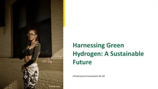 Green Hydrogen: A Sustainable Future Infrastructure Overview