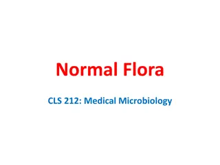 Understanding Normal Flora in Human Body and its Importance