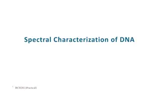 Understanding DNA Structure: Deoxyribose, Phosphate, and Bases