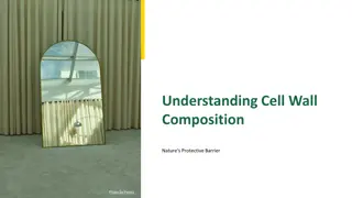 Unveiling Cell Wall Composition: Nature's Protective Barrier