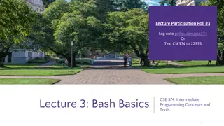 Understanding Bash Basics: Shell State, Variables, and Scripting Essentials