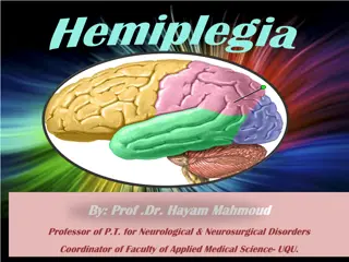 Understanding Hemiplegia and Stroke Rehabilitation