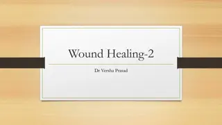 Understanding Wound Healing by Secondary Intention