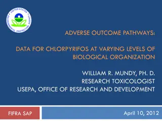 Understanding Adverse Outcome Pathways and Their Importance in Toxicology