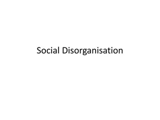 Understanding Social Disorganisation and Its Impact on Communities