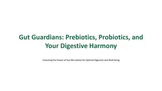 Unlocking the Power of Gut Microbiota for Digestive Harmony