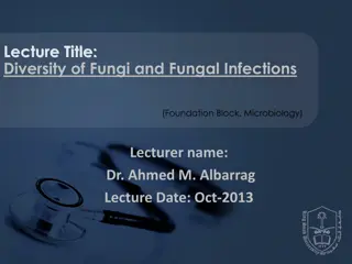 Understanding Fungal Diversity and Infections in Microbiology Lecture