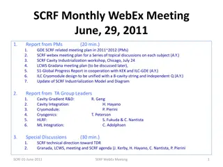 Monthly WebEx Meeting Report and Workshop Plans