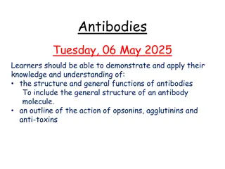 Understanding Antibodies: Structure, Functions, and Applications