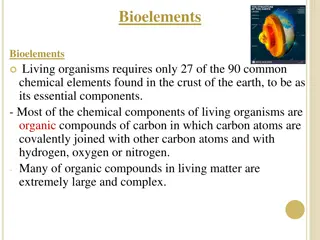 Essential Components of Living Organisms: Bioelements Insights