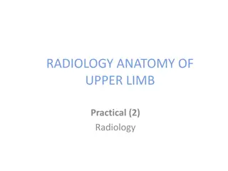 Radiology Anatomy of Upper Limb: Practical Insights and Imaging