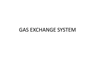 Understanding the Gas Exchange System in Organisms