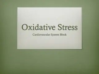 Understanding Oxidative Stress and Its Impact on Cardiovascular Health