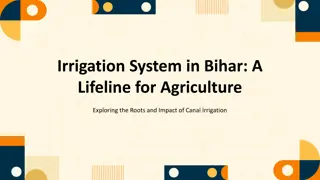Irrigation System in Bihar: Exploring Canal Impact