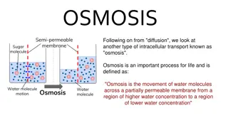 Understanding Osmosis in Cellular Transport