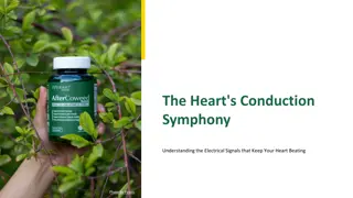 Understanding the Heart's Electrical Conduction System