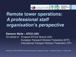 Remote Tower Operations: Safety Concerns and Workload Assessment Workshop Insights