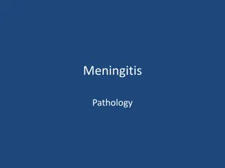 Understanding CNS Infections: Meningitis Pathology and Complications