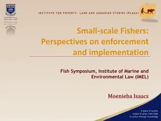 Perspectives on Small-scale Fisheries Enforcement and Implementation