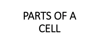 Discover Parts of a Cell and Their Functions