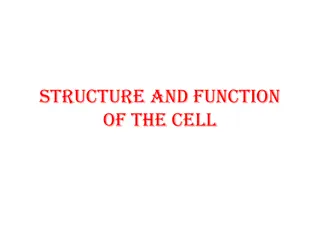 Cell Structure and Function: Lysosomes, Cilia, Cytoskeleton, Centriole