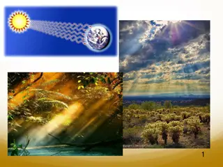 Investigating Energy Transfer in a Local Ecosystem