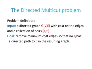 Directed Multicut Problem and Algorithm Insights