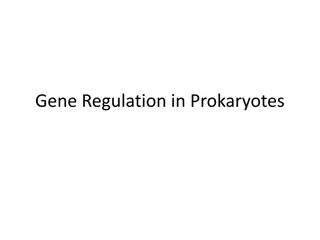 Gene Regulation in Prokaryotes: Understanding Operon Model