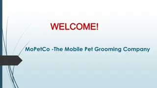 If you are looking for dog grooming in South Fort Lauderdale