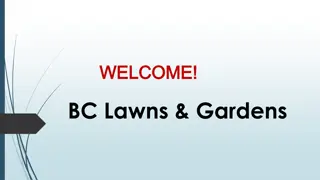 Best Lawn Mowing in Lisarow