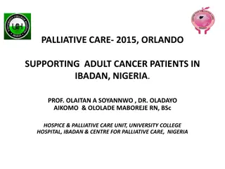 Palliative Care Services for Adult Cancer Patients in Ibadan, Nigeria