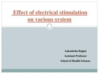 Impact of Electrical Stimulation on Various Systems for Health Improvement