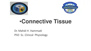 Understanding Connective Tissue and Its Functions