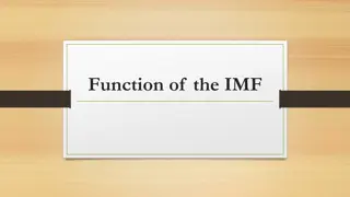 Understanding the Functions of the IMF