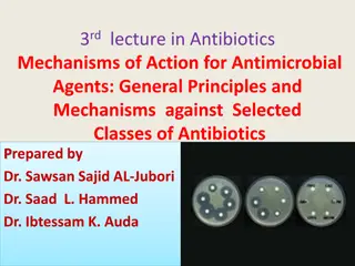 Mechanisms of Antibiotic Resistance and Microbial Behavior