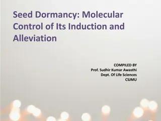 Molecular Control of Seed Dormancy Induction and Alleviation