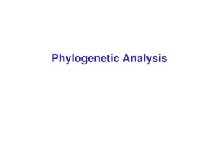 Understanding Phylogenetic Analysis for Evolutionary Relationships