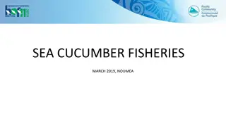 Understanding the Decline of Sea Cucumber Fisheries in the Pacific Region
