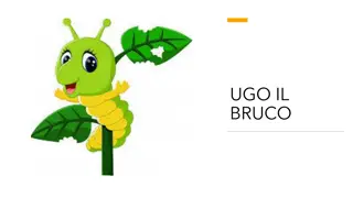 Story of Ugo the Curious Caterpillar and his Transformation