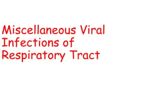 Understanding Epstein-Barr Virus and Infectious Mononucleosis