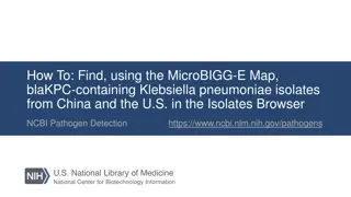 Find blaKPC-Containing Klebsiella pneumoniae Isolates Using MicroBIGG-E Map
