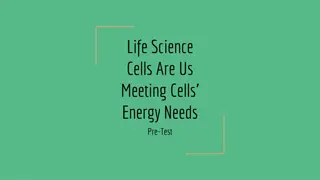 Understanding Cellular Respiration and Photosynthesis