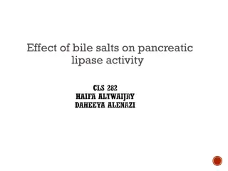 Bile Salts and Pancreatic Lipase Activity
