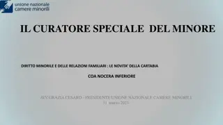 Updates on Cartabia Law: Curatore Speciale del Minore in Nocera Inferiore