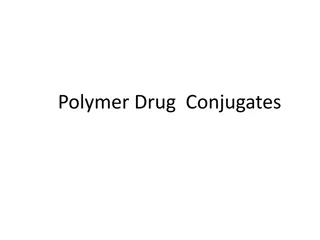 Exploring Natural Polymers in Polymer Drug Conjugates