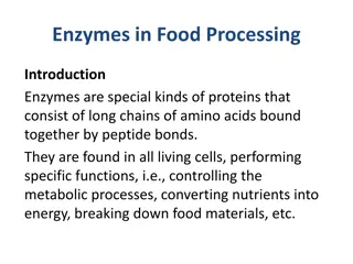 Understanding Enzymes in Food Processing