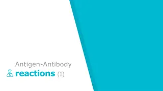 Understanding Antigen-Antibody Reactions: Key Terminology & Concepts