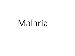 Understanding Malaria: Causes, Symptoms, and Treatment