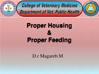 Proper Housing and Feeding Guidelines for Poultry